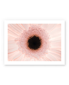 Art Poster Flower Power by The Collective without frame
